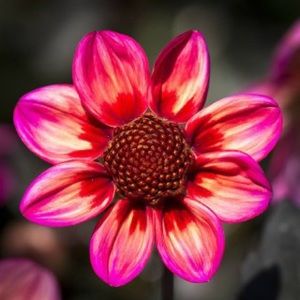 Meet your Posher, Erika